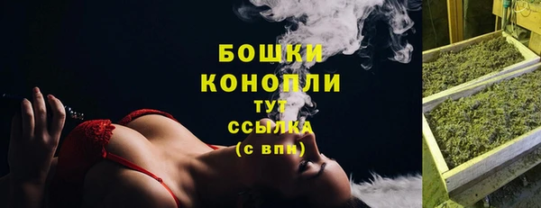 ГАЛЛЮЦИНОГЕННЫЕ ГРИБЫ Абдулино
