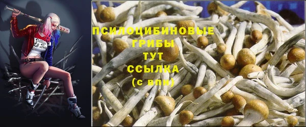 СК Алексин