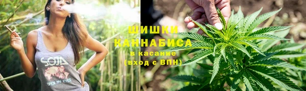 трава Абаза