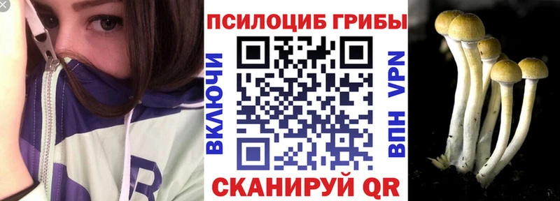 Галлюциногенные грибы Psilocybe  Железногорск-Илимский 